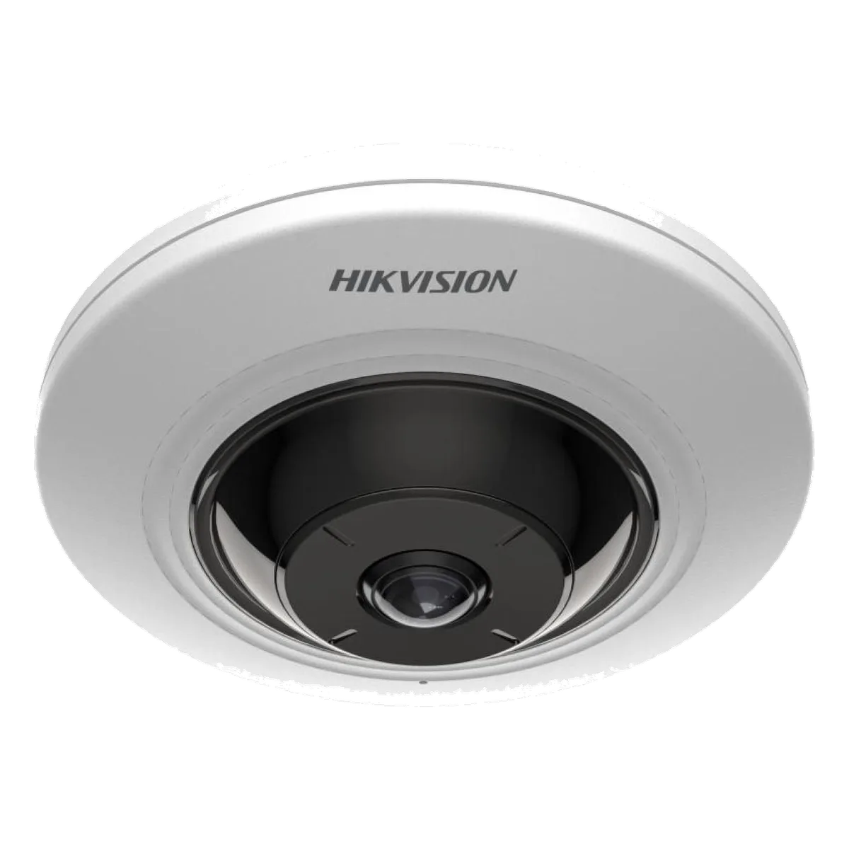 Cámara IP Hikvision HK-DS2CD2955G0-ISU HIKVISION